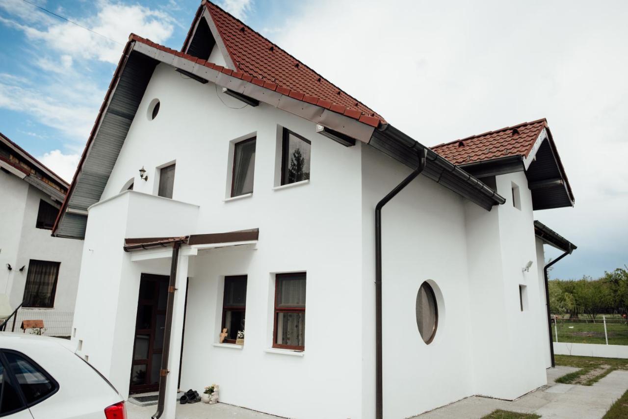 Autentic Adorabil Apartment Albestii Paminteni Exterior photo