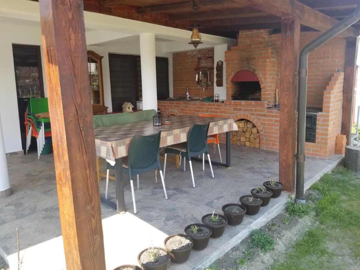 Autentic Adorabil Apartment Albestii Paminteni Exterior photo